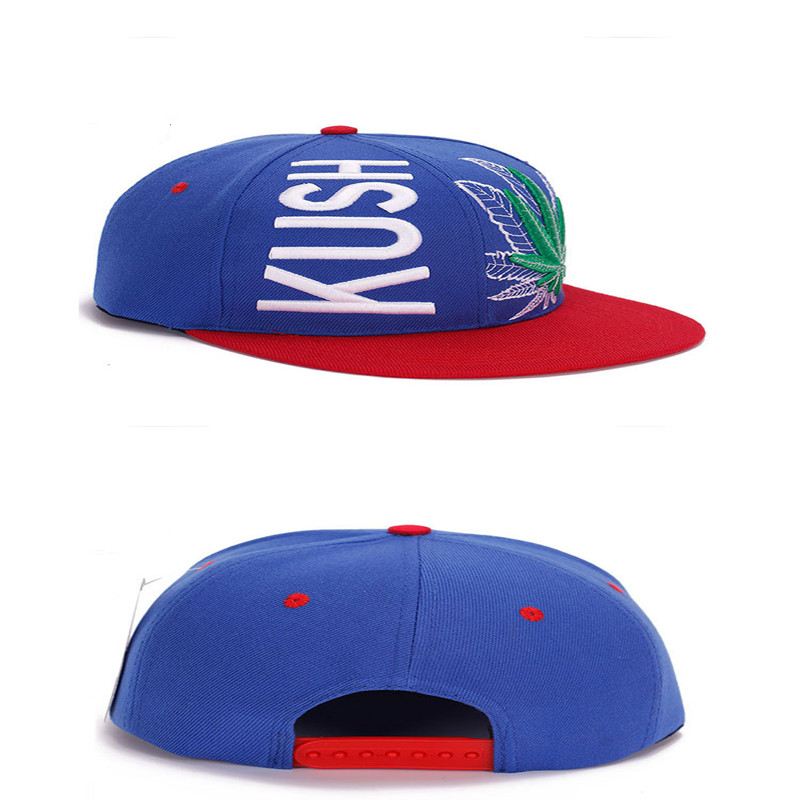 Koreansk Stil Tredimensionel Broderi Med Store Ahornblade Hip-hop Hat