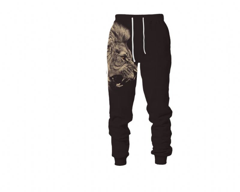 3d Digital Printing Animal Lion Sweatshirt Sweatpants